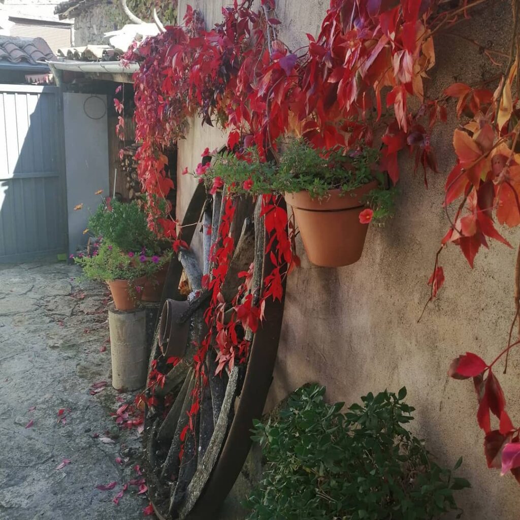 casa rural spa aravalle el colirrojo ec patio otono