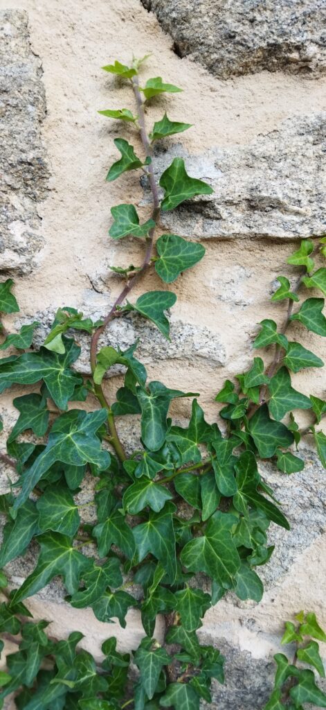 casa rural spa aravalle ensueno 1676305411318 scaled