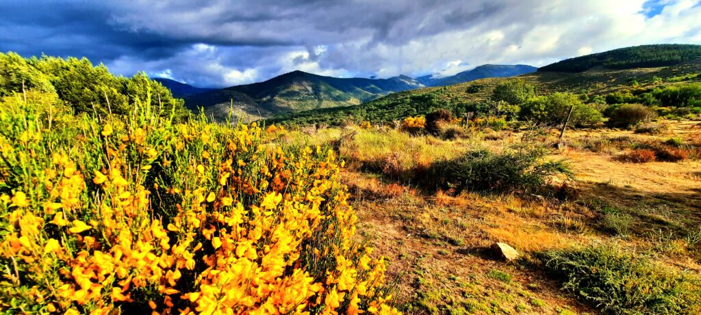 casas rurales spa aravalle Entorno canchal scaled