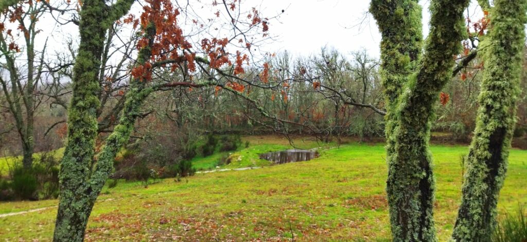 casas rurales spa aravalle entornobosque