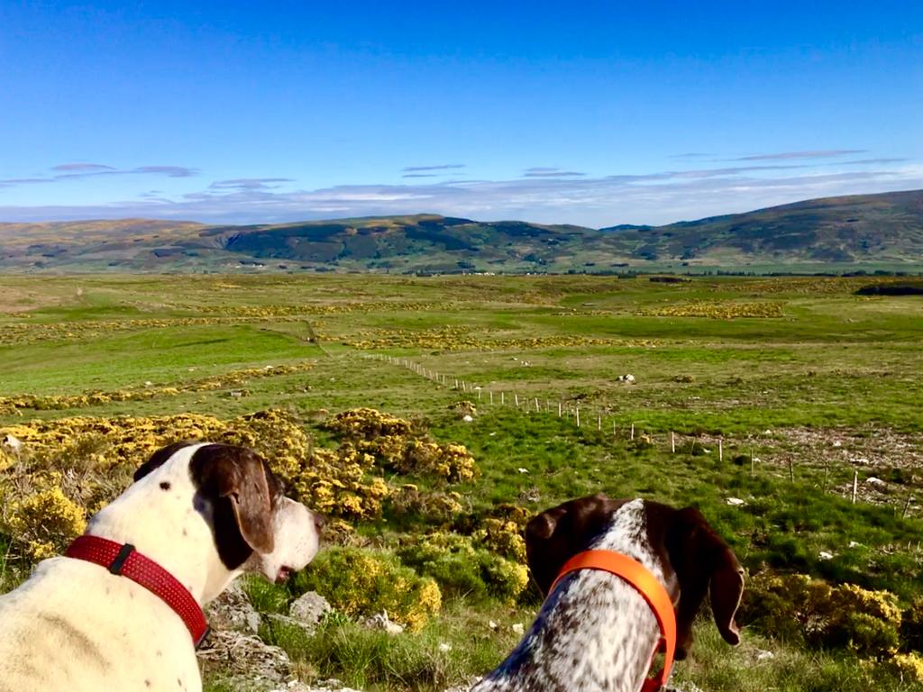 IMG 20231030 WA0017 Aravalle