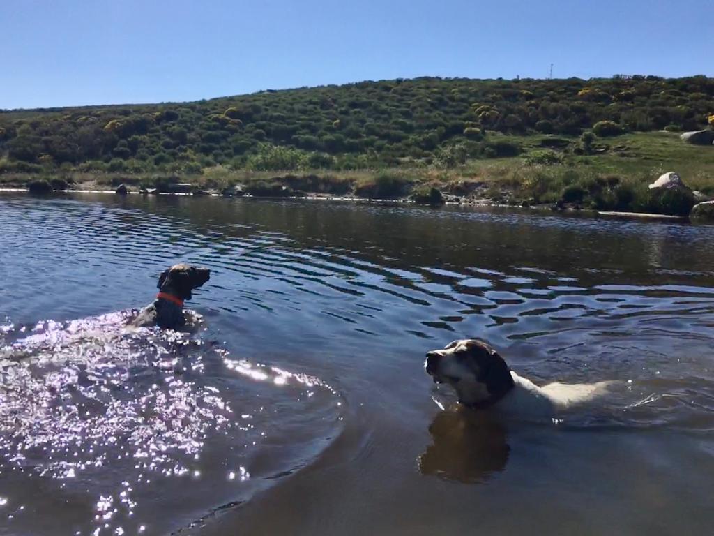 IMG 20231030 WA0018 Aravalle