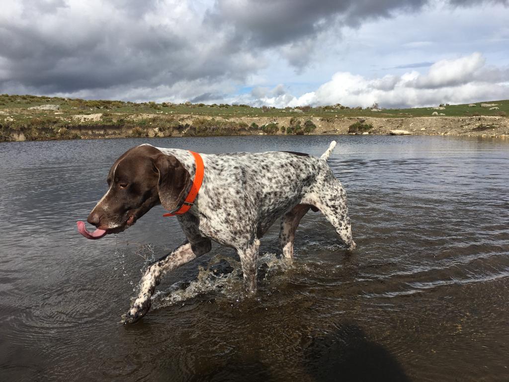 IMG 20231030 WA0019 Aravalle